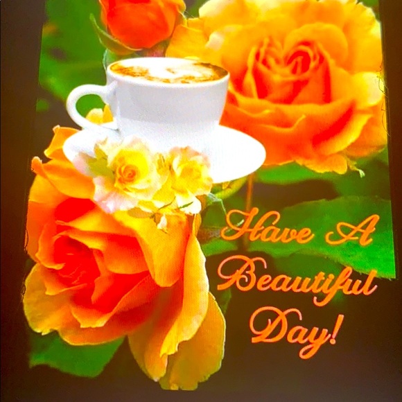 Meet your Posher, Denise - Picture 2 of 2